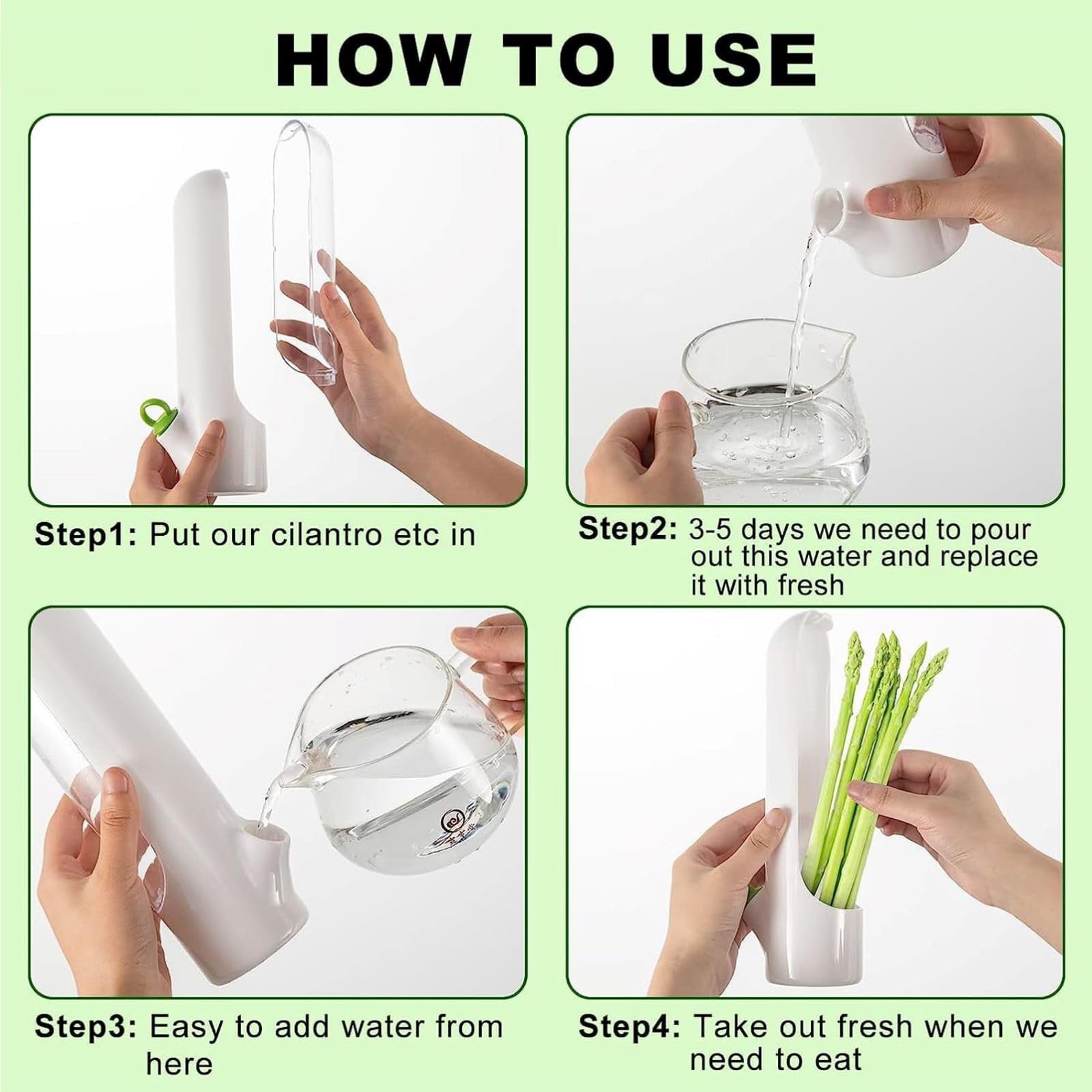 Herb & Veggie Saver - Keep Your Greens Fresher for Longer