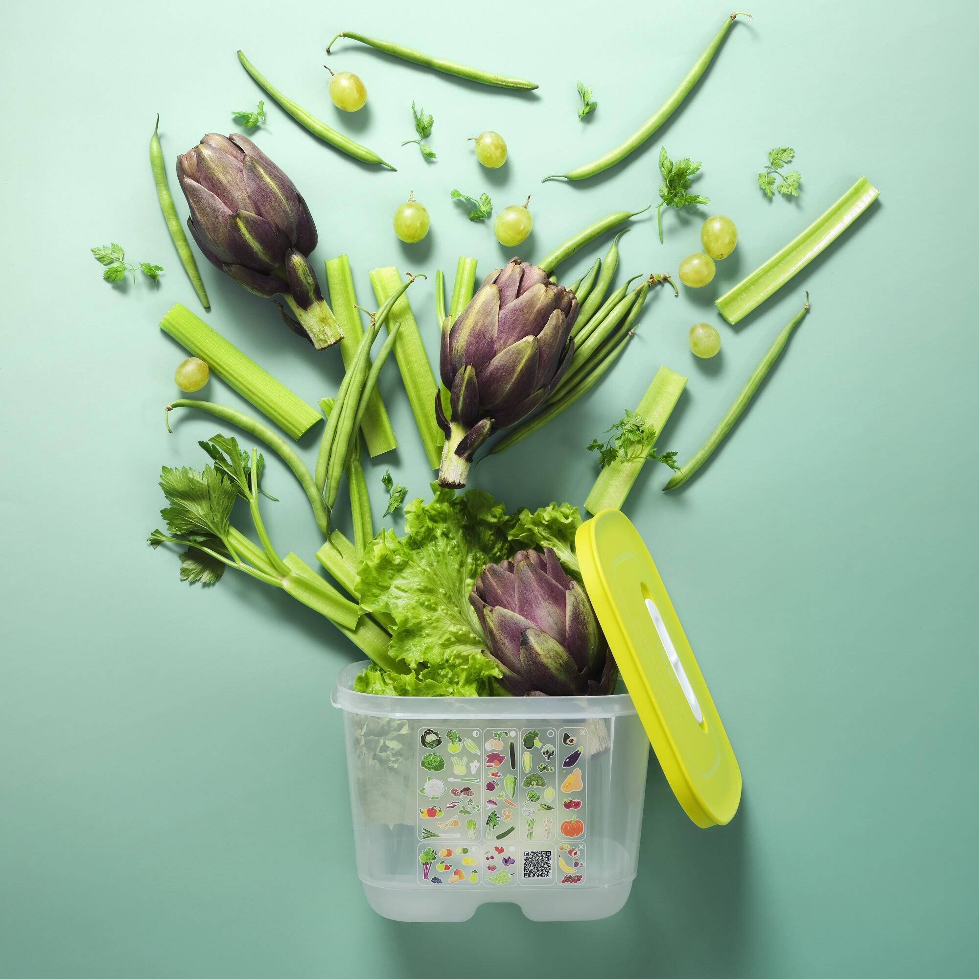Keep Fruits & Vegetables Fresher, Longer