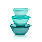 Classic Bowl | Set of 3